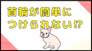 首輪が簡単につけられない⁈
