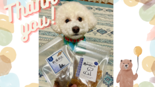 嬉しいなぁ～☆彡