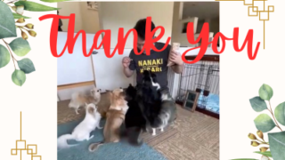 大喜びに感動！！