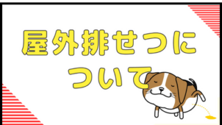 外排泄について