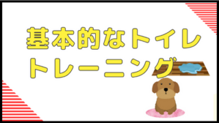 基本的なトイレのトレーニング法