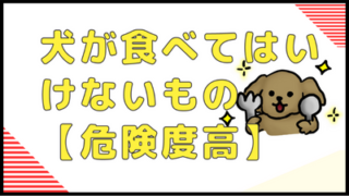 犬にあげてはいけないもの【危険度高】
