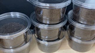 ヘラ君とクレスちゃんの飼育日記：卵の個別管理スタート！プリンカップで育てる理由とは？