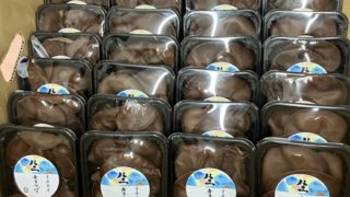 生きくらげ販売開始！
